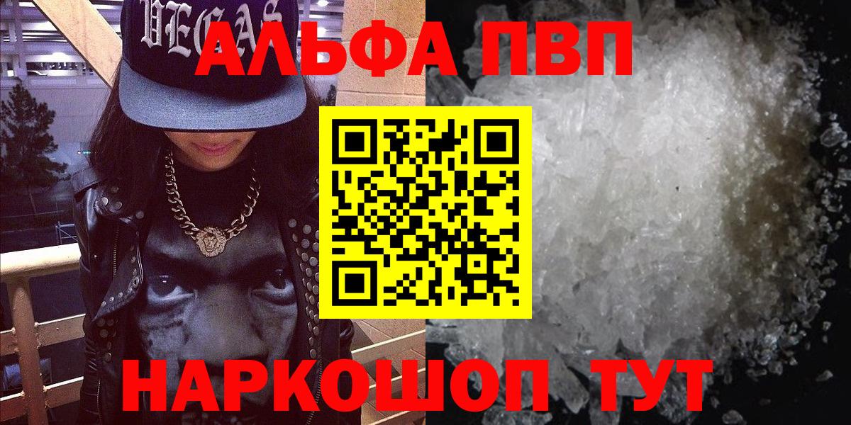 Alfa_PVP СК Новороссийск