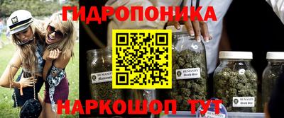 a pvp Славгород