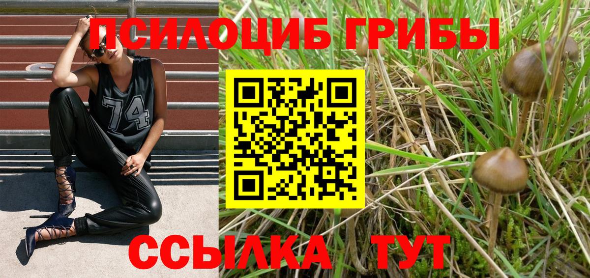 Галлюциногенные грибы Cubensis  Вход с VPN  Новороссийск  Галлюциногенные грибы Cubensis 
