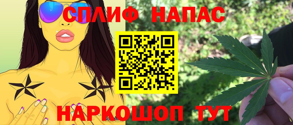 Шишки марихуана семена Новороссийск